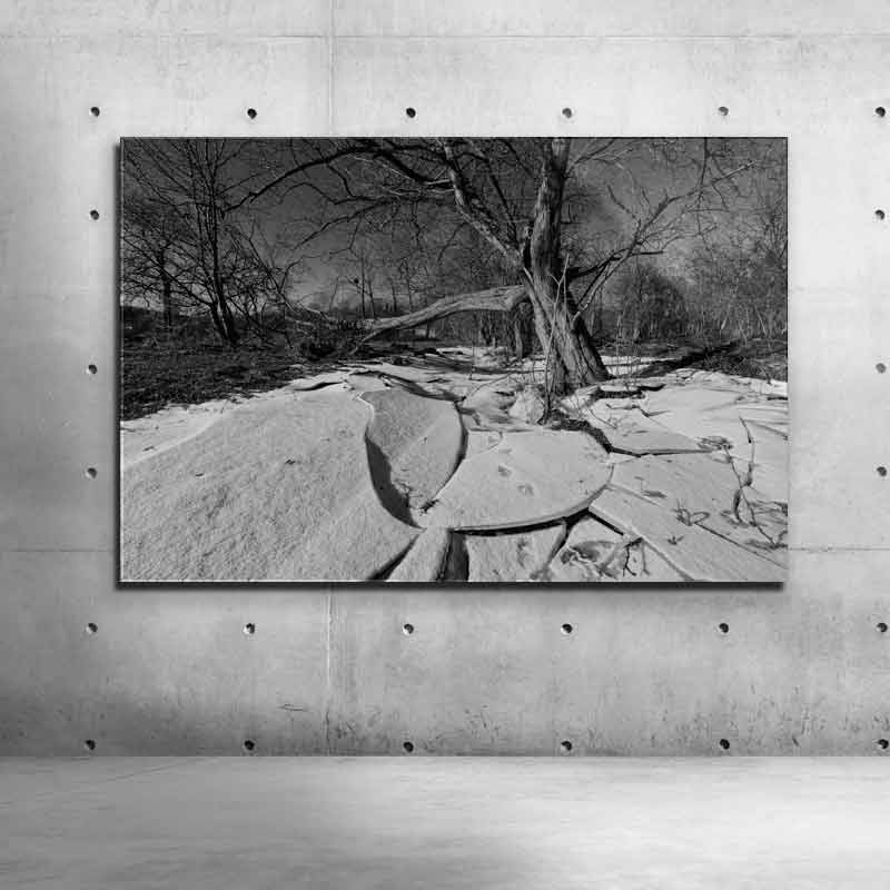 Black & White Art